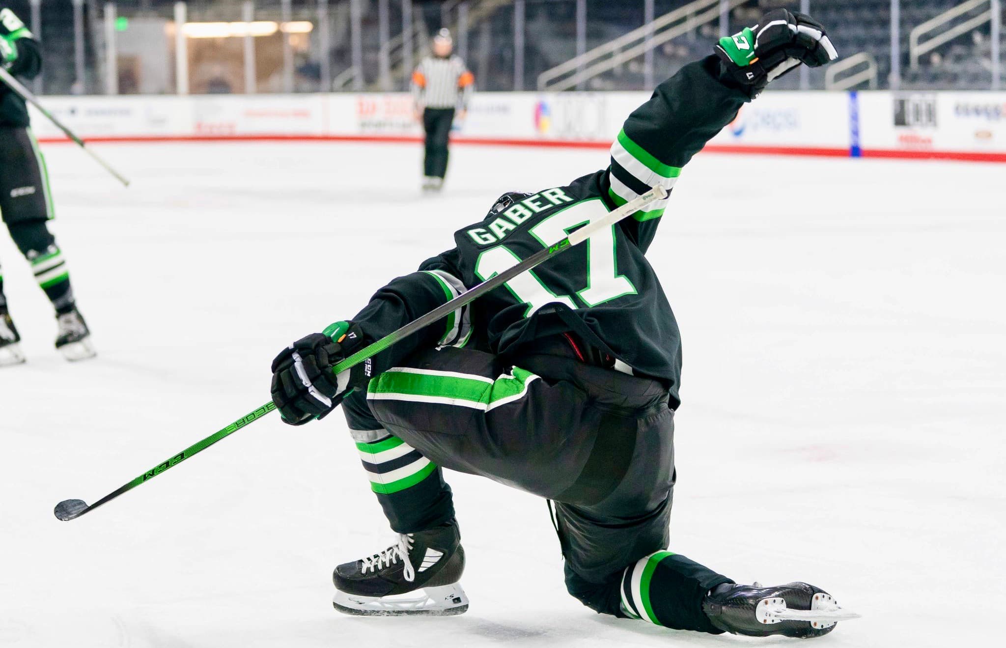 Gaber Named NCHC Rookie of the Week