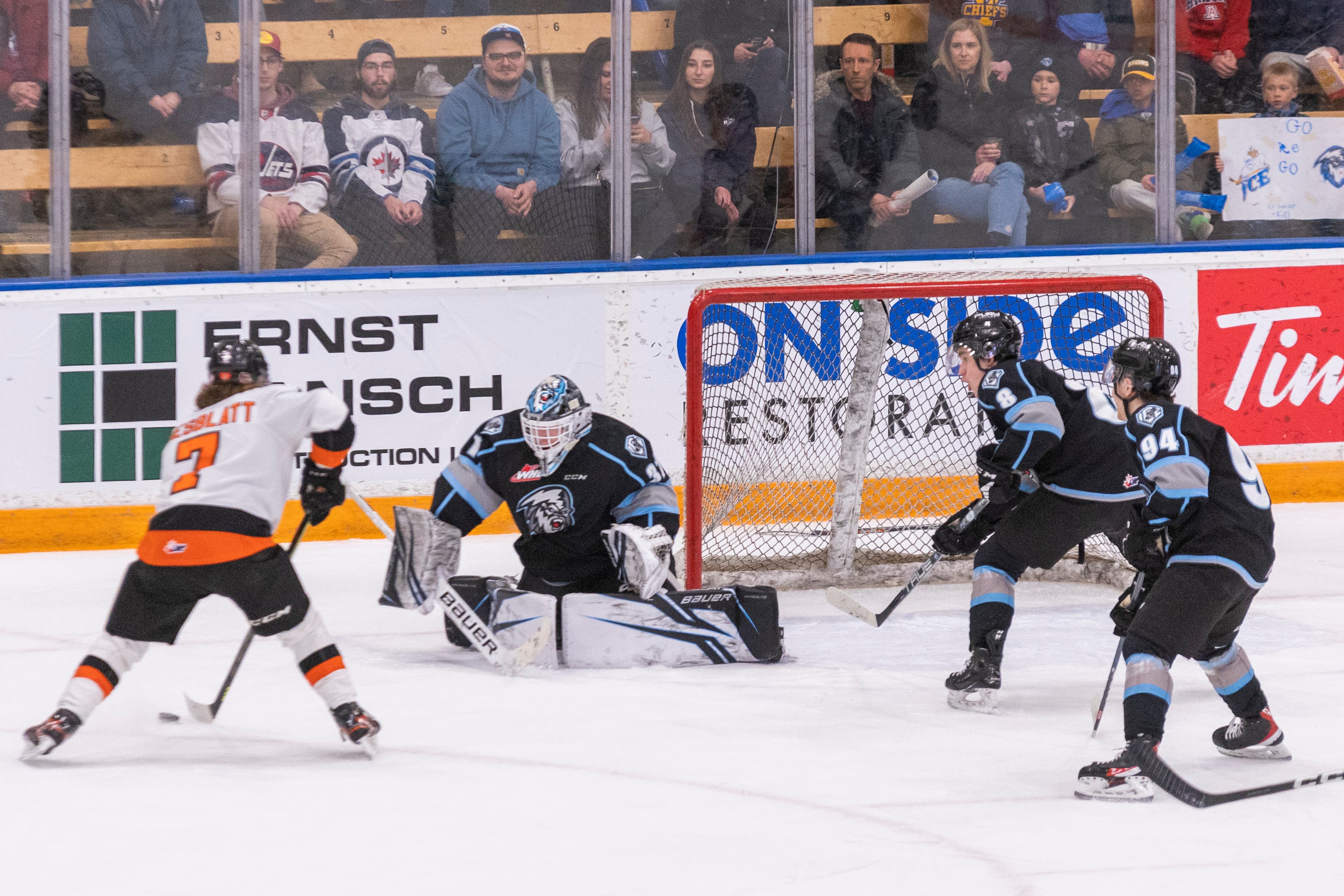 Winnipeg's Daniel Hauser Named WHL Goaltender of the Month