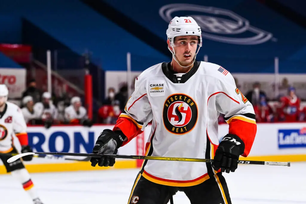 Canada Gains a Fifth AHL Team with Stockton's Relocation